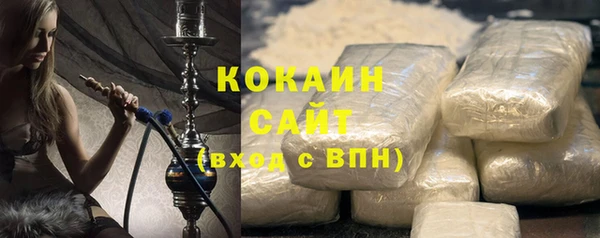 индика Алексин