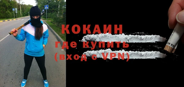 индика Алексин
