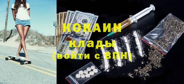 шишки Ельня