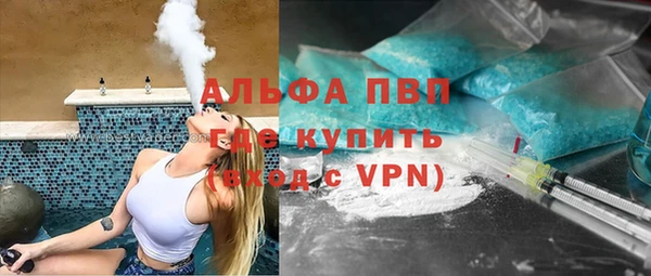 индика Алексин