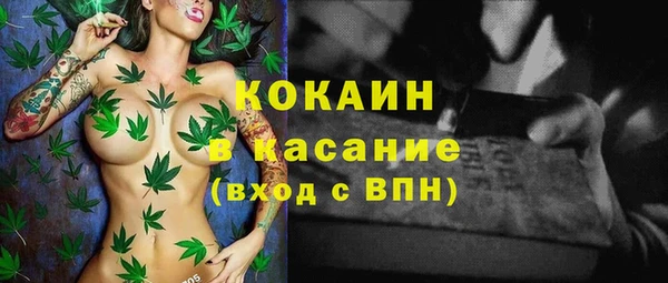индика Алексин