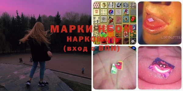 индика Алексин