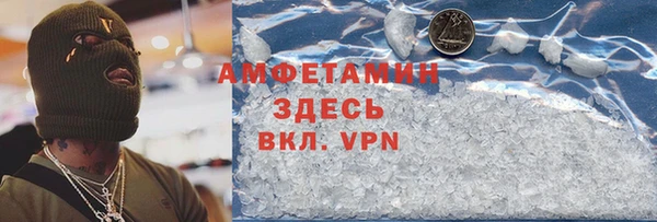 индика Алексин