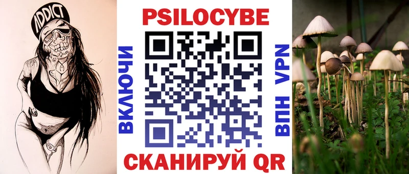 Галлюциногенные грибы GOLDEN TEACHER Юрьев-Польский